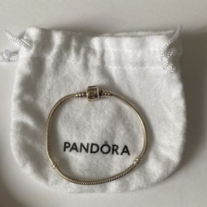 PANDORA MOMENTS SNAKE CHAIN BRACELET